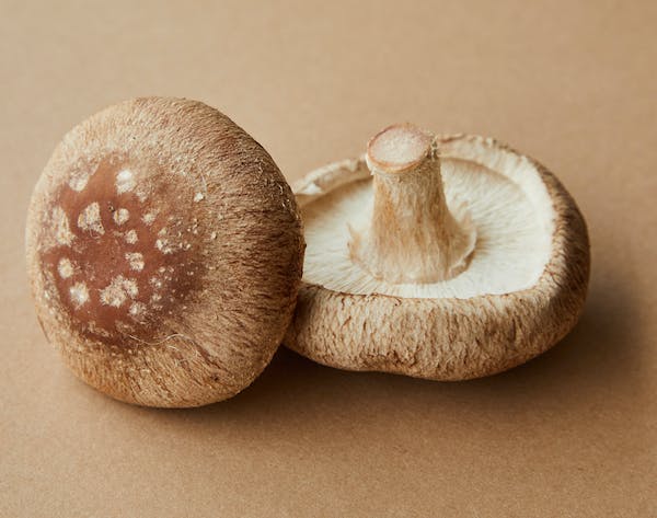 Adaptogenic mushroom gummies